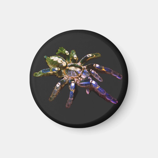 Tarantula blue/red/orange/black spider magnet (Front)