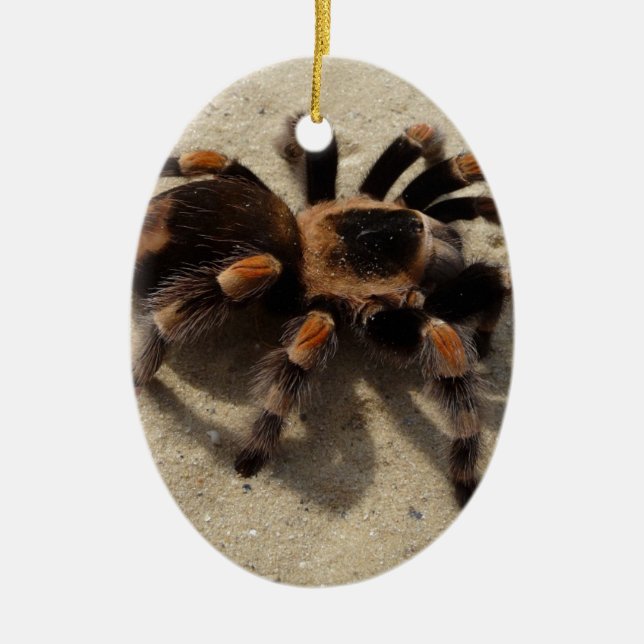 Tarantula brachypelma red knee poisonous ceramic tree decoration (Front)