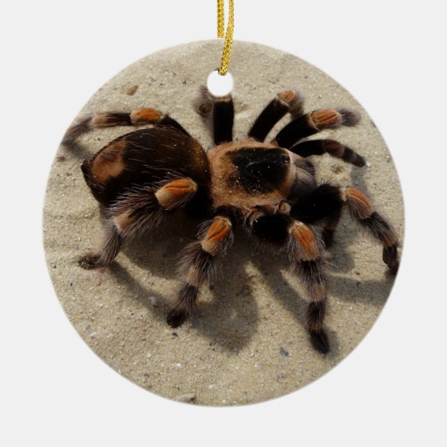 Tarantula brachypelma red knee poisonous ceramic tree decoration (Front)