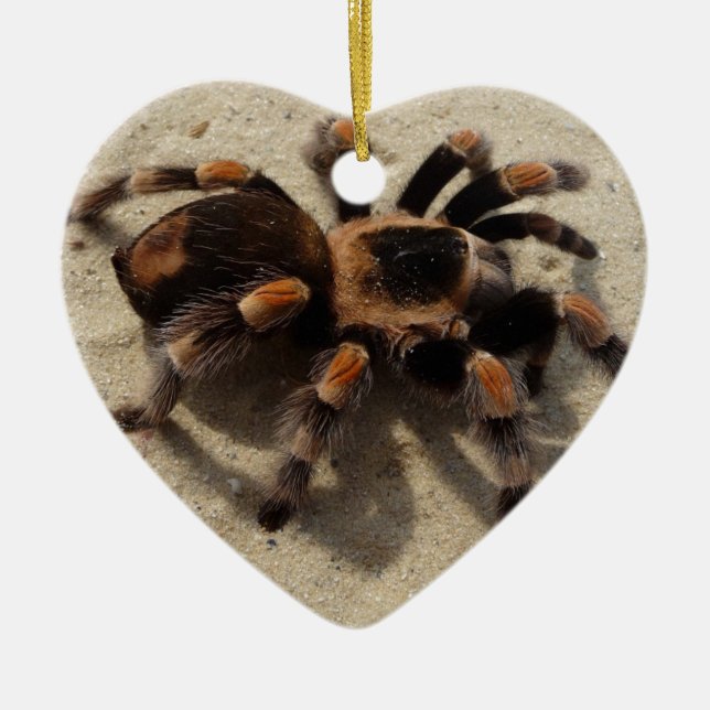 Tarantula brachypelma red knee poisonous ceramic tree decoration (Front)