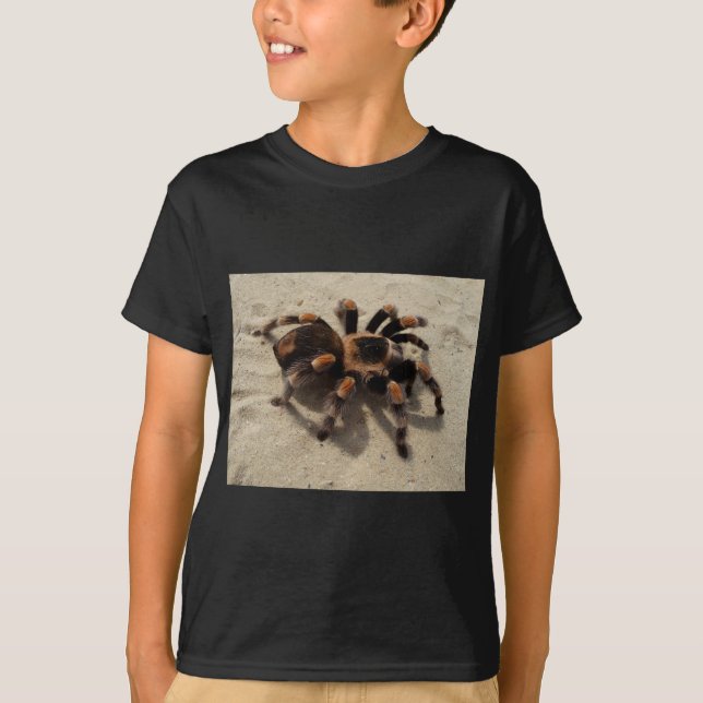 Tarantula brachypelma red knee poisonous T-Shirt (Front)