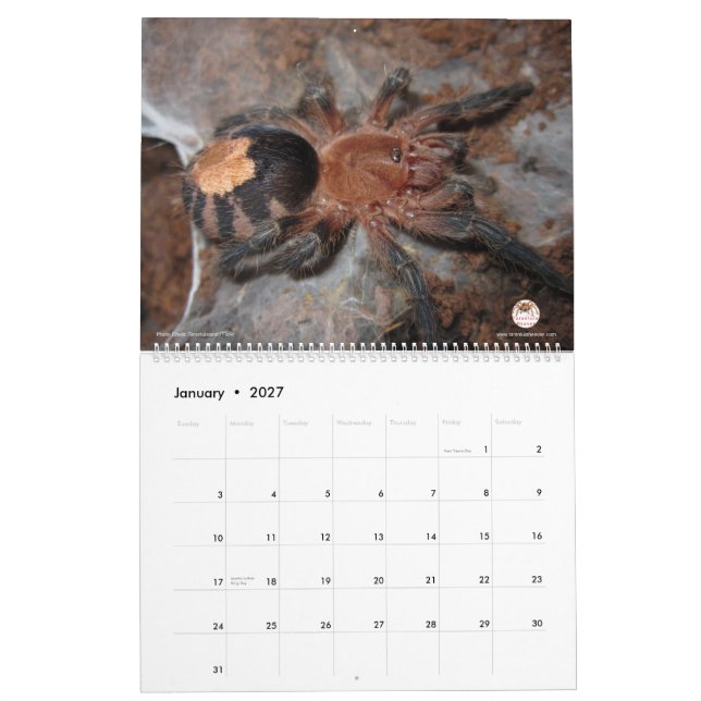 Tarantula Calendar for 2018 (Jan 2027)