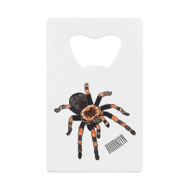 Tarantula cartoon illustration (Front)