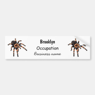 Tarantula cartoon illustration bumper sticker
