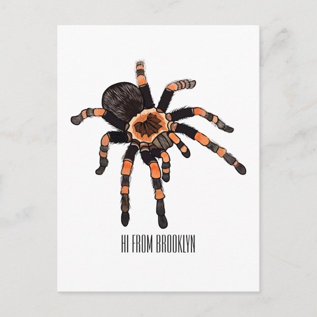 Tarantula cartoon illustration postcard (Front)