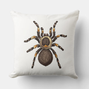 Tarantula Cushion