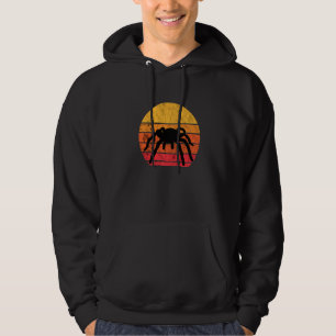 Tarantula Insects Bug Retro Vintage Sunset Hoodie