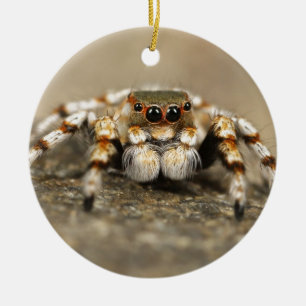 Tarantula Jumping Bird Spider awesome accessories Ceramic Tree Decoration