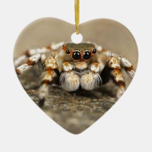 Tarantula Jumping Bird Spider awesome accessories Ceramic Tree Decoration