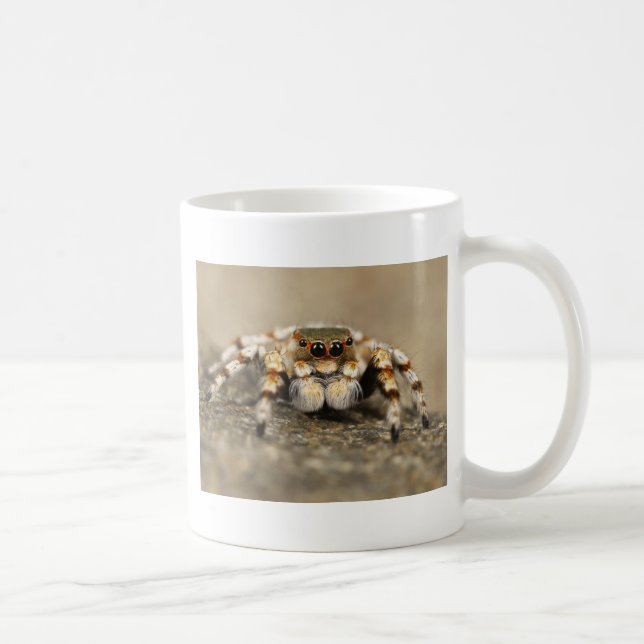 Tarantula Jumping Bird Spider awesome accessories Coffee Mug (Right)