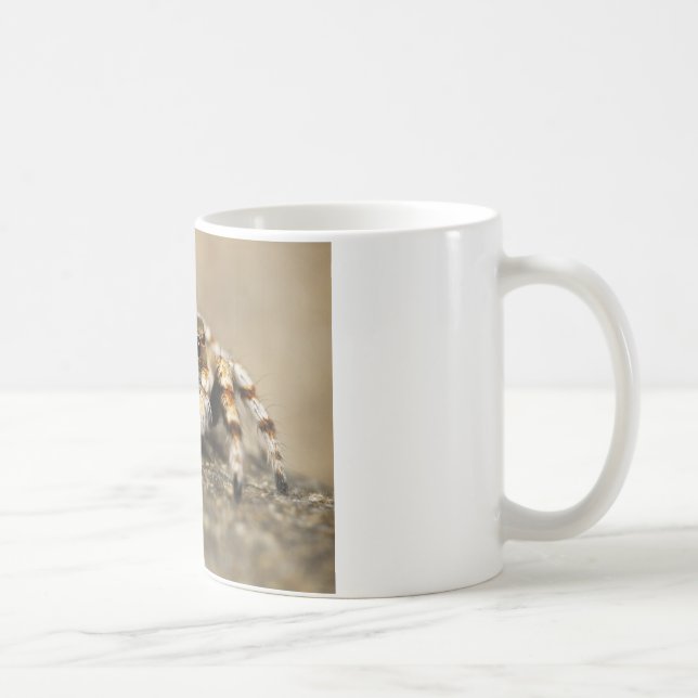 Tarantula Jumping Bird Spider awesome accessories Coffee Mug (Right)