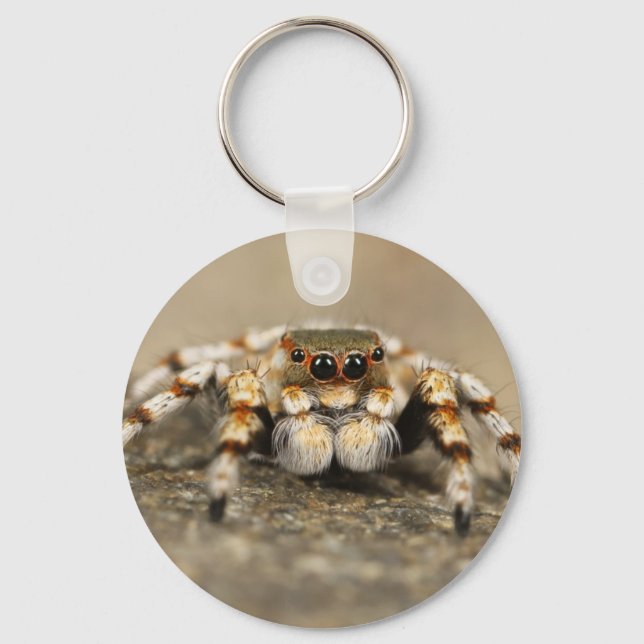 Tarantula Jumping Bird Spider awesome accessories Key Ring (Front)