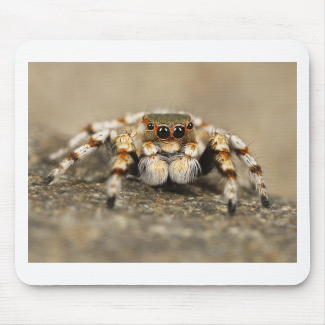 Tarantula Jumping Bird Spider awesome accessories Mouse Mat (Front)