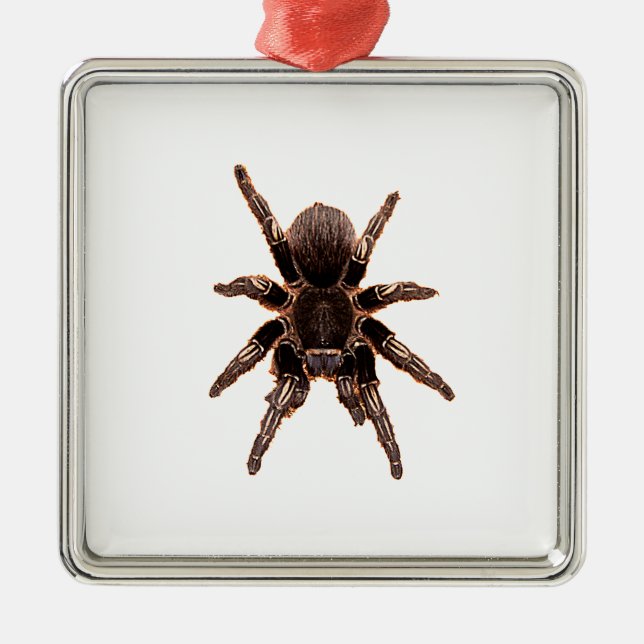 Tarantula Metal Tree Decoration (Front)