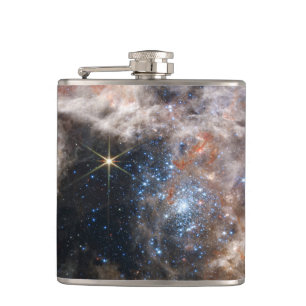 Tarantula Nebula Image from JWST Hip Flask