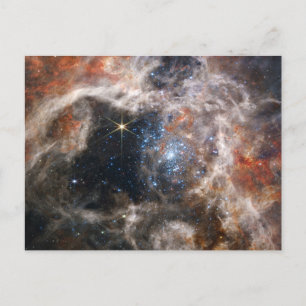 Tarantula Nebula Image from JWST Postcard