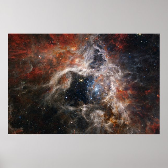 Tarantula Nebula James Webb NASA Poster (Front)