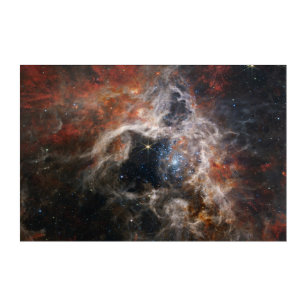 Tarantula Nebula James Webb telescope nasa stars s Acrylic Print
