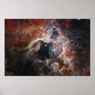 Tarantula Nebula James Webb telescope nasa stars s Poster
