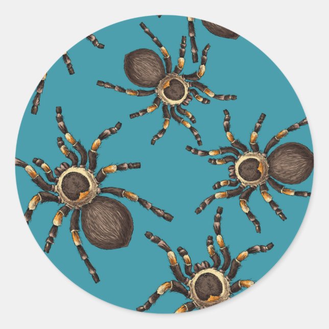 Tarantula on blue classic round sticker (Front)