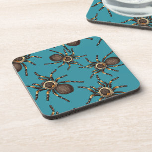 Tarantula on blue coaster