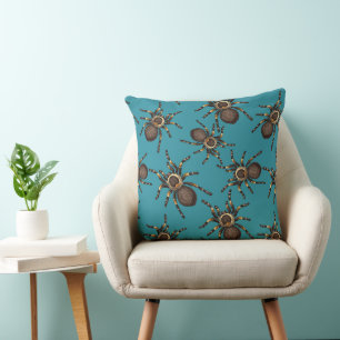 Tarantula on blue cushion
