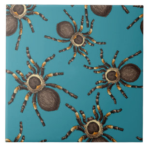 Tarantula on blue tile
