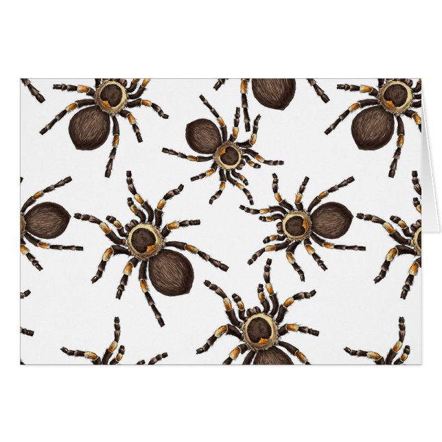 Tarantula on white (Front Horizontal)