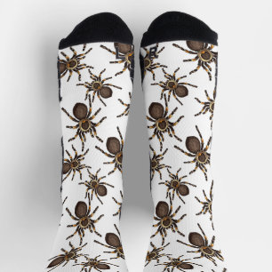 Tarantula on white socks