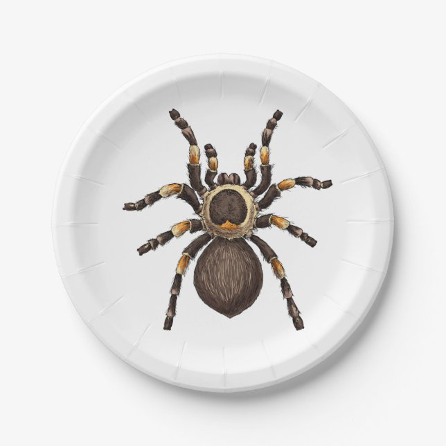 Tarantula Paper Plate (Front)