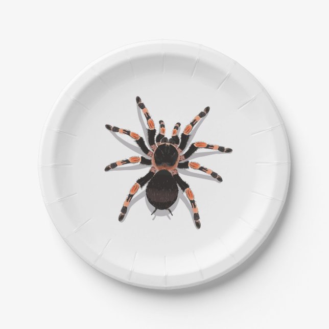 Tarantula Paper Plate (Front)