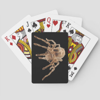 Tarantula plain Playing Cards