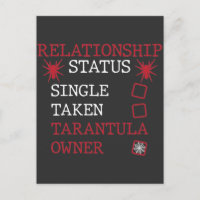 Tarantula Relationship Single Taken Spider Owner