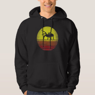 Tarantula Retro Sunset Tarantula Lover Hoodie