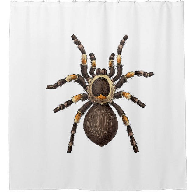 Tarantula Shower Curtain (Front)