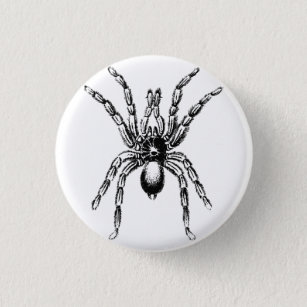 tarantula spider 3 cm round badge