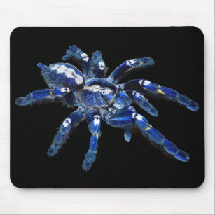 Tarantula spider, arachnid, big blue spider/black mouse mat