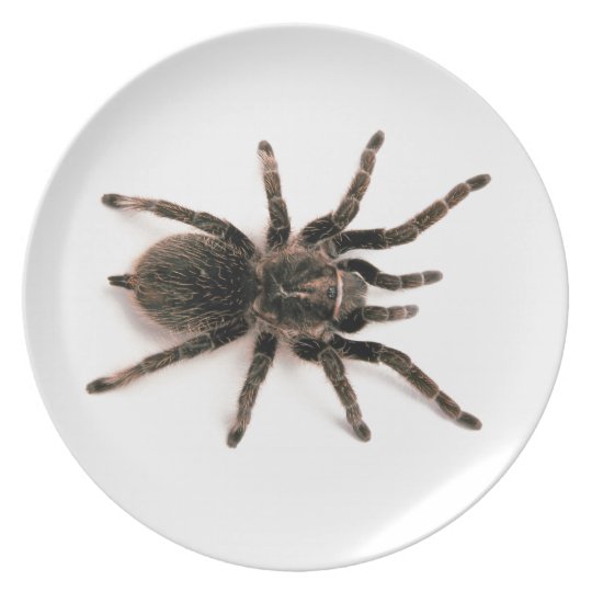 tarantula-spider-dinner-plate-plate-zazzle-co-uk