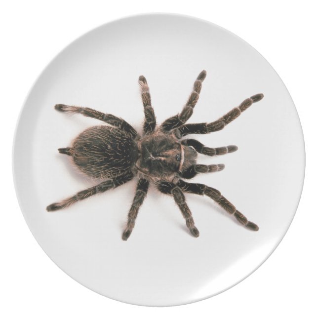 Tarantula Spider Dinner Plate. Plate (Front)
