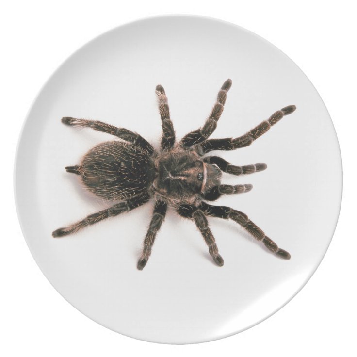 Tarantula Spider Dinner Plate. Plate | Zazzle