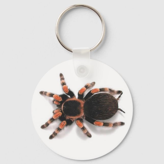 TARANTULA SPIDER KEYCHAIN KEYRING (Front)