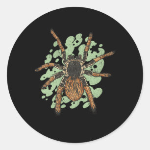 Tarantula Spider Large Arachnid Classic Round Sticker