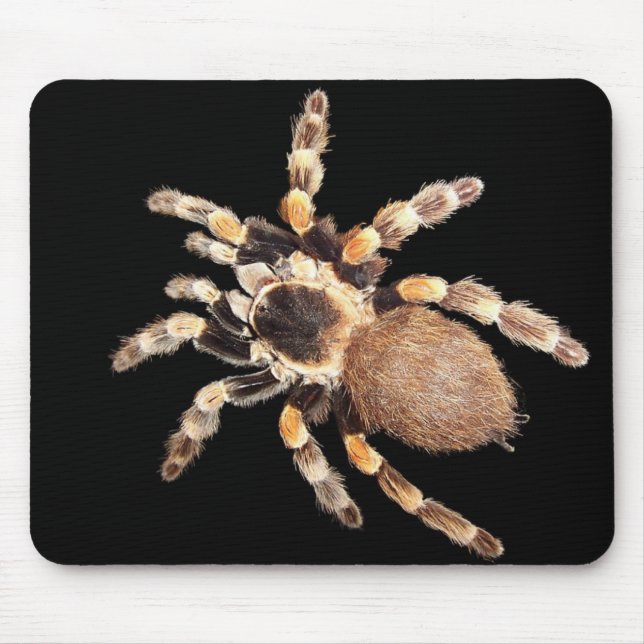 Tarantula Spider Mouse Mat (Front)