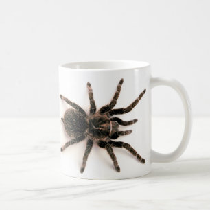 Tarantula Spider Mug