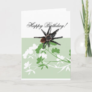 tarantula spider on dogwood blossom design cards