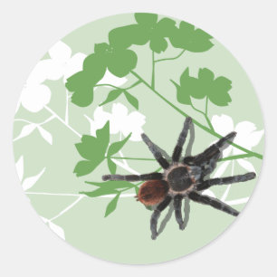 tarantula spider on dogwood blossom design sticker