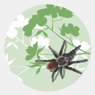 tarantula spider on dogwood blossom design sticker