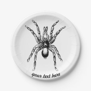 tarantula spider paper plate