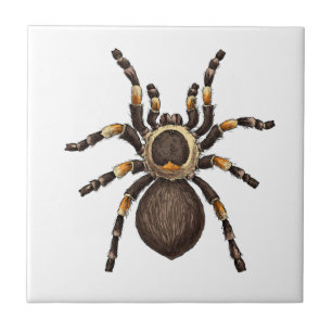 Tarantula Tile
