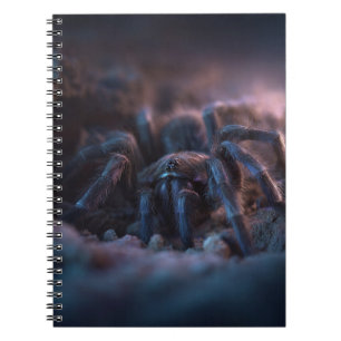 Tarantula Twilight Notebook
